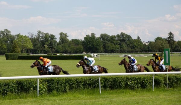 Horse Racing Trips
