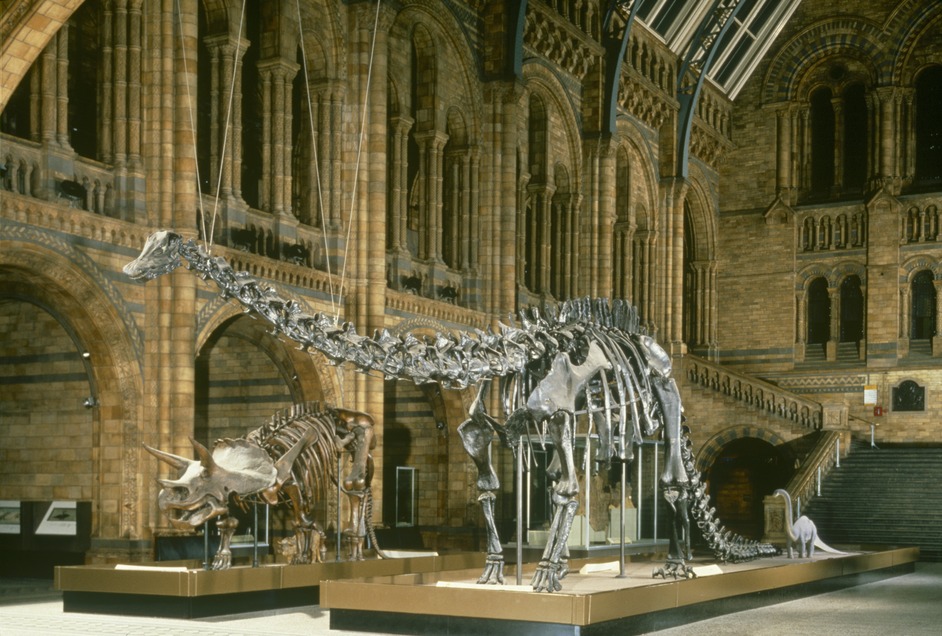 Natural History Museum Landmark Hire