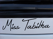 53 Seat Luxury Volvo Coach (Miss Tabitha)